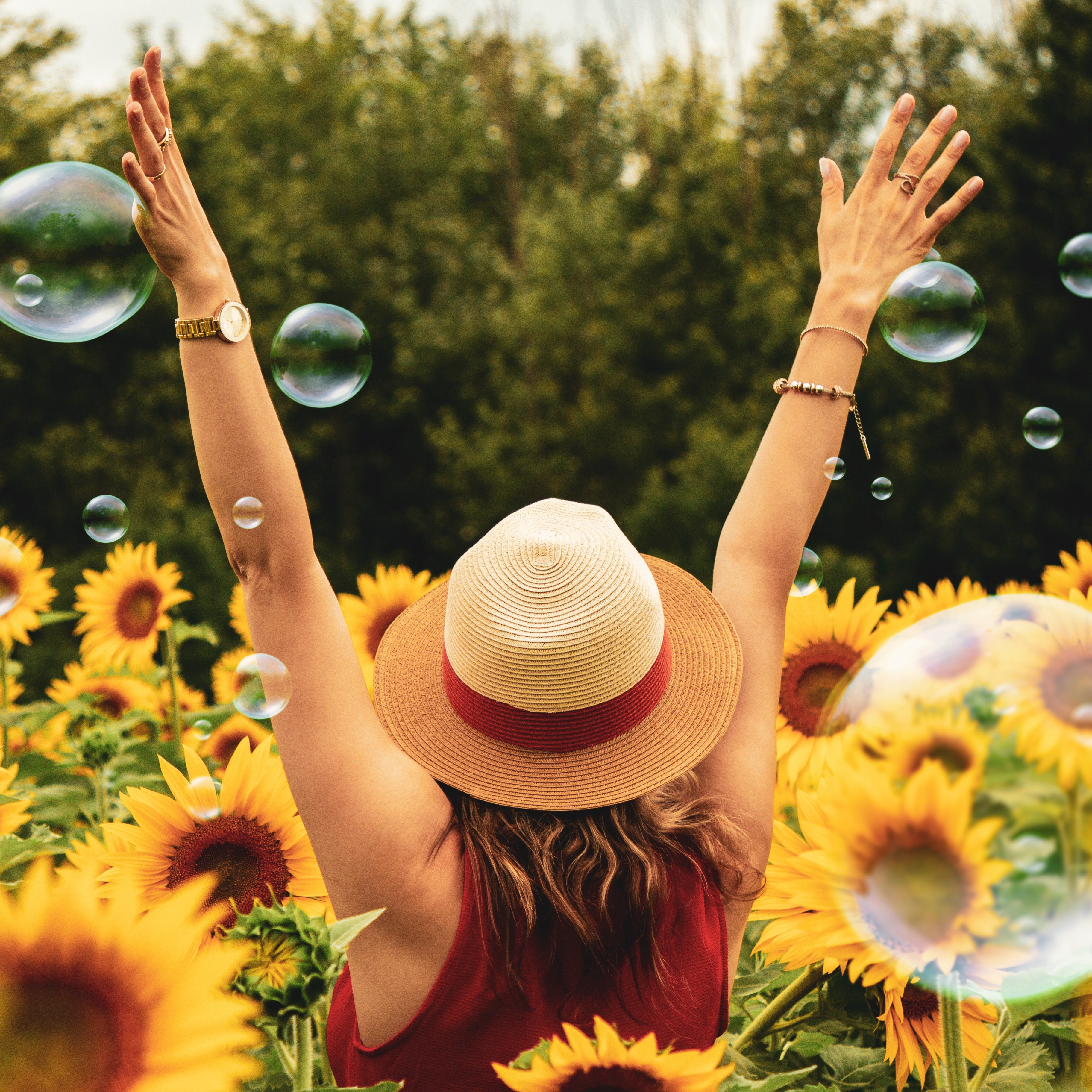 /blogue/photography-of-woman-surrounded-by-sunflowers-1263986.jpg