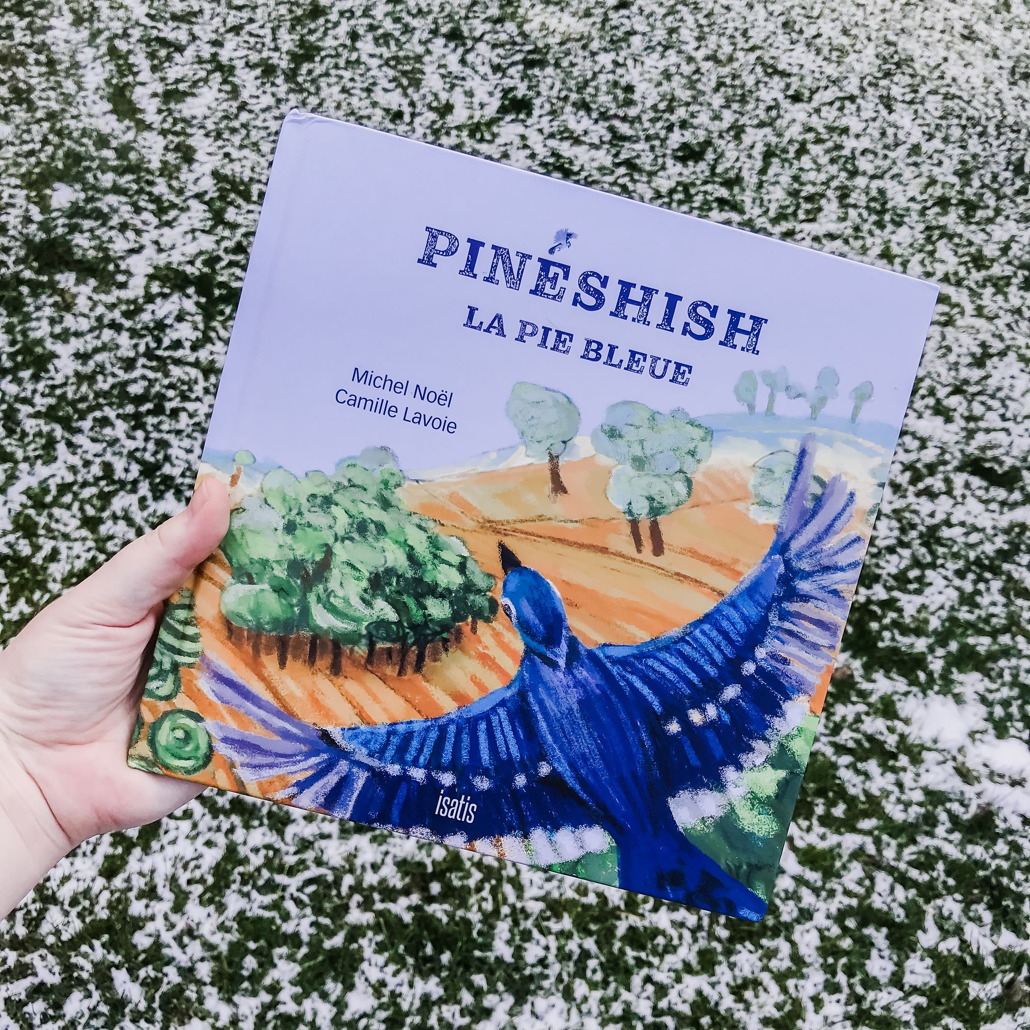 Pineshish – La pie bleue (Michel Noël)